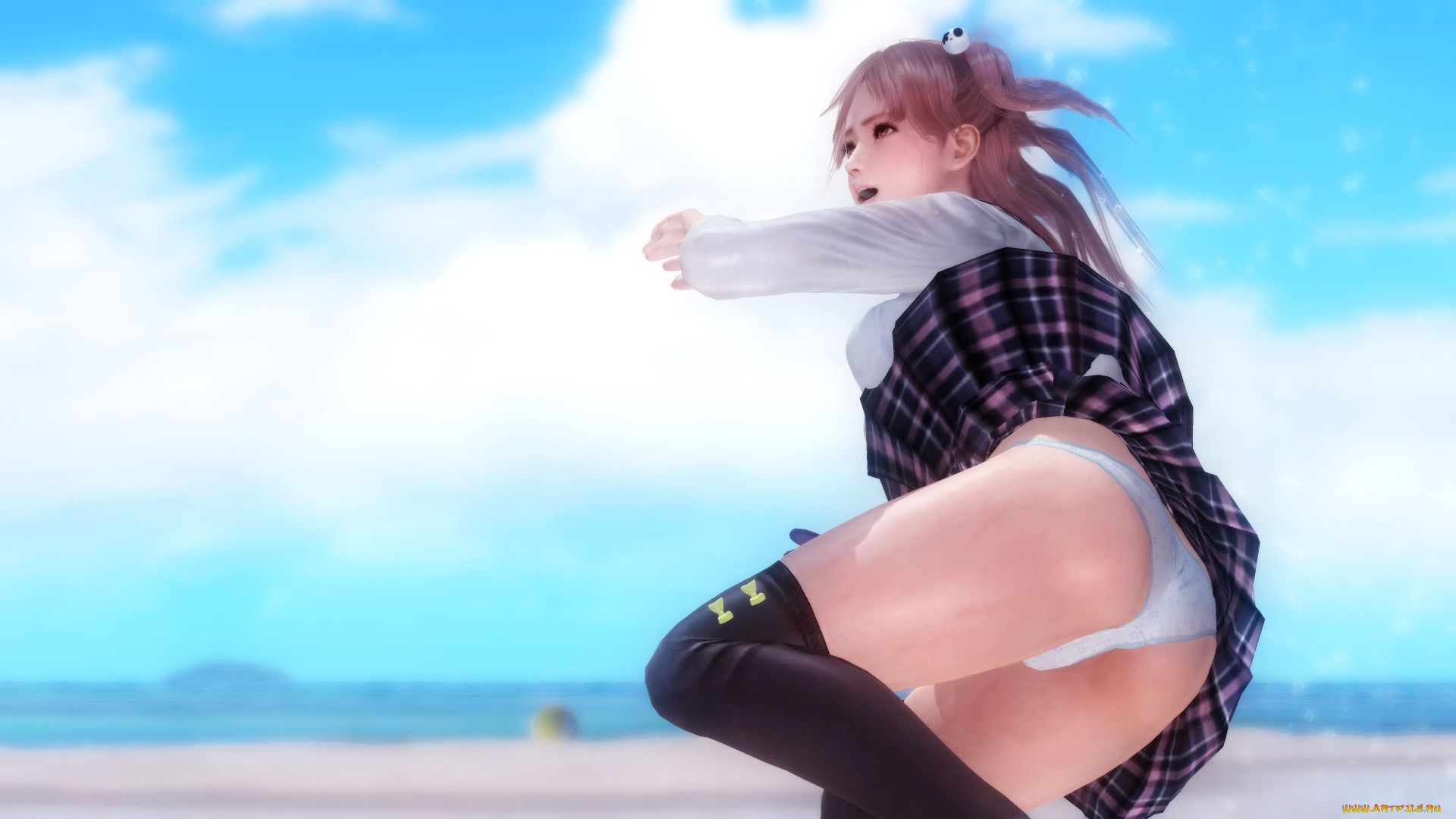  , dead or alive 5, , , , 